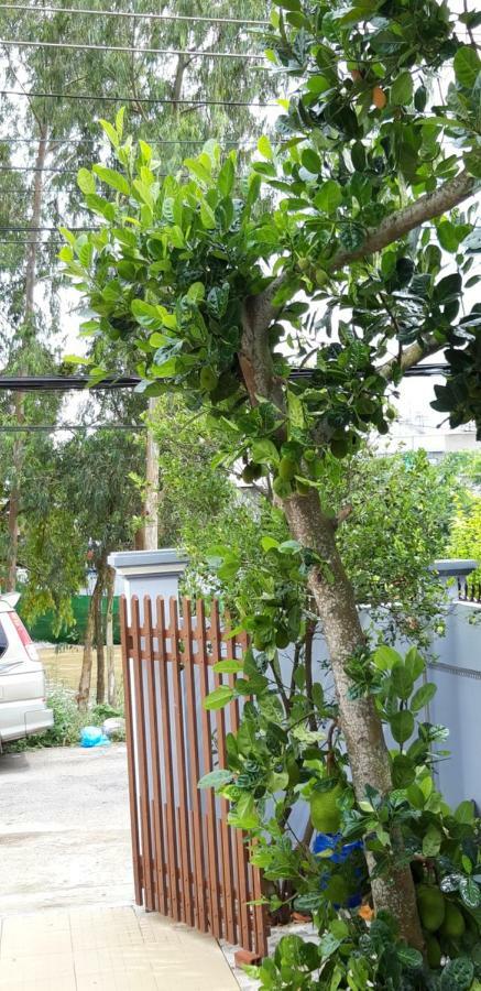 Lucky 190 Guest House Chau Doc Bagian luar foto